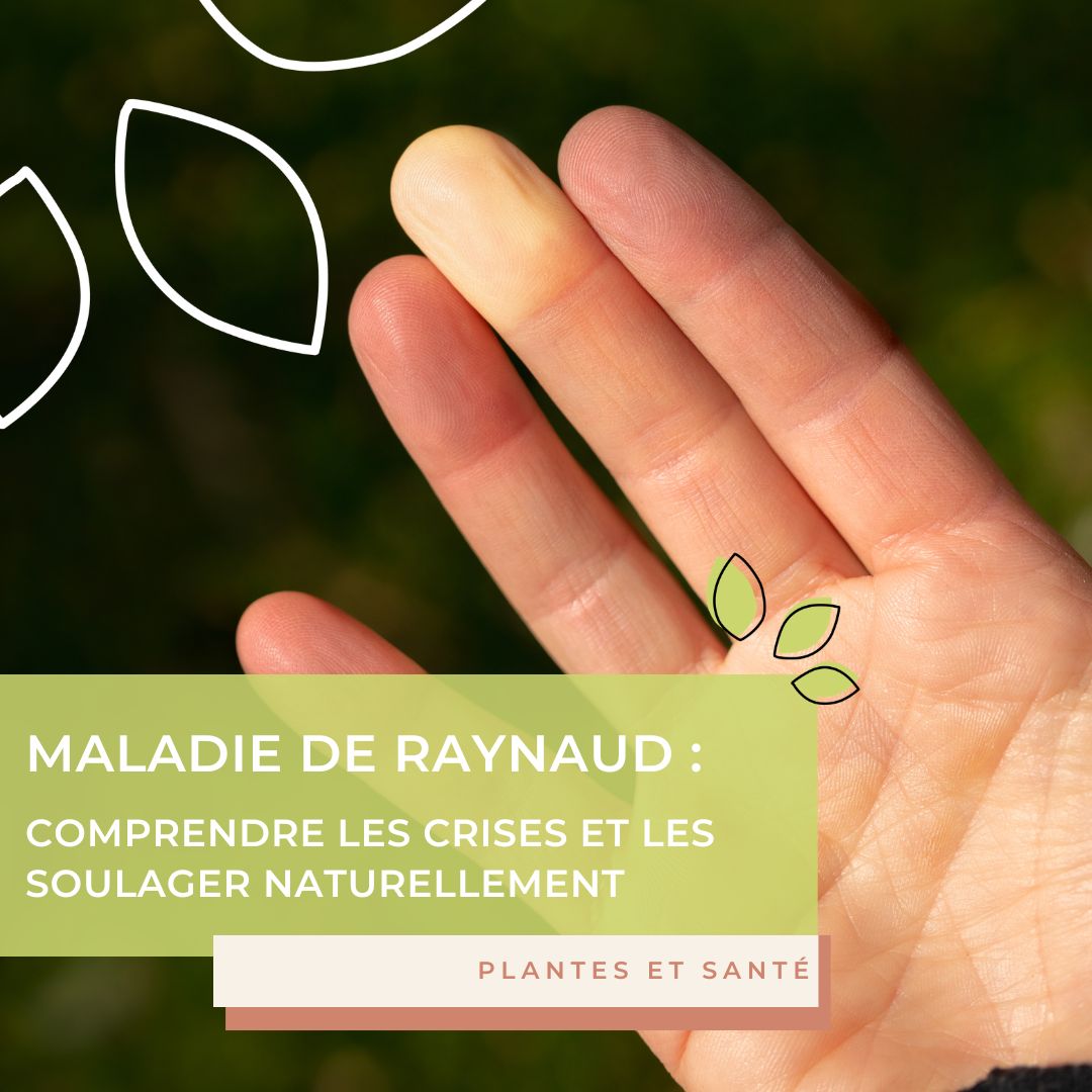 Les remèdes naturels pour soulager une maladie de Raynaud