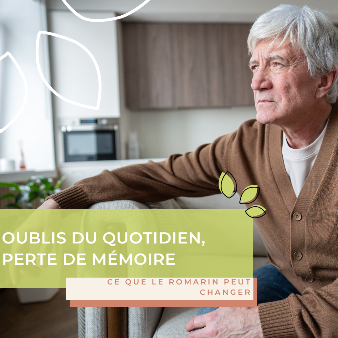 Oublis du quotidien, perte de mémoire : ce que le romarin peut changer (et ce qu’il ne changera pas)