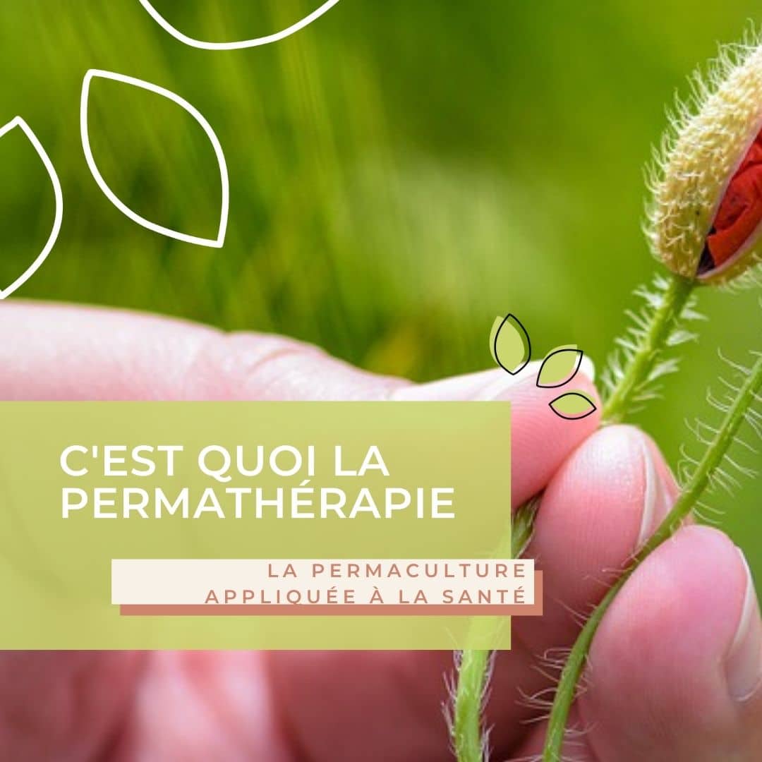 C’est quoi la permathérapie