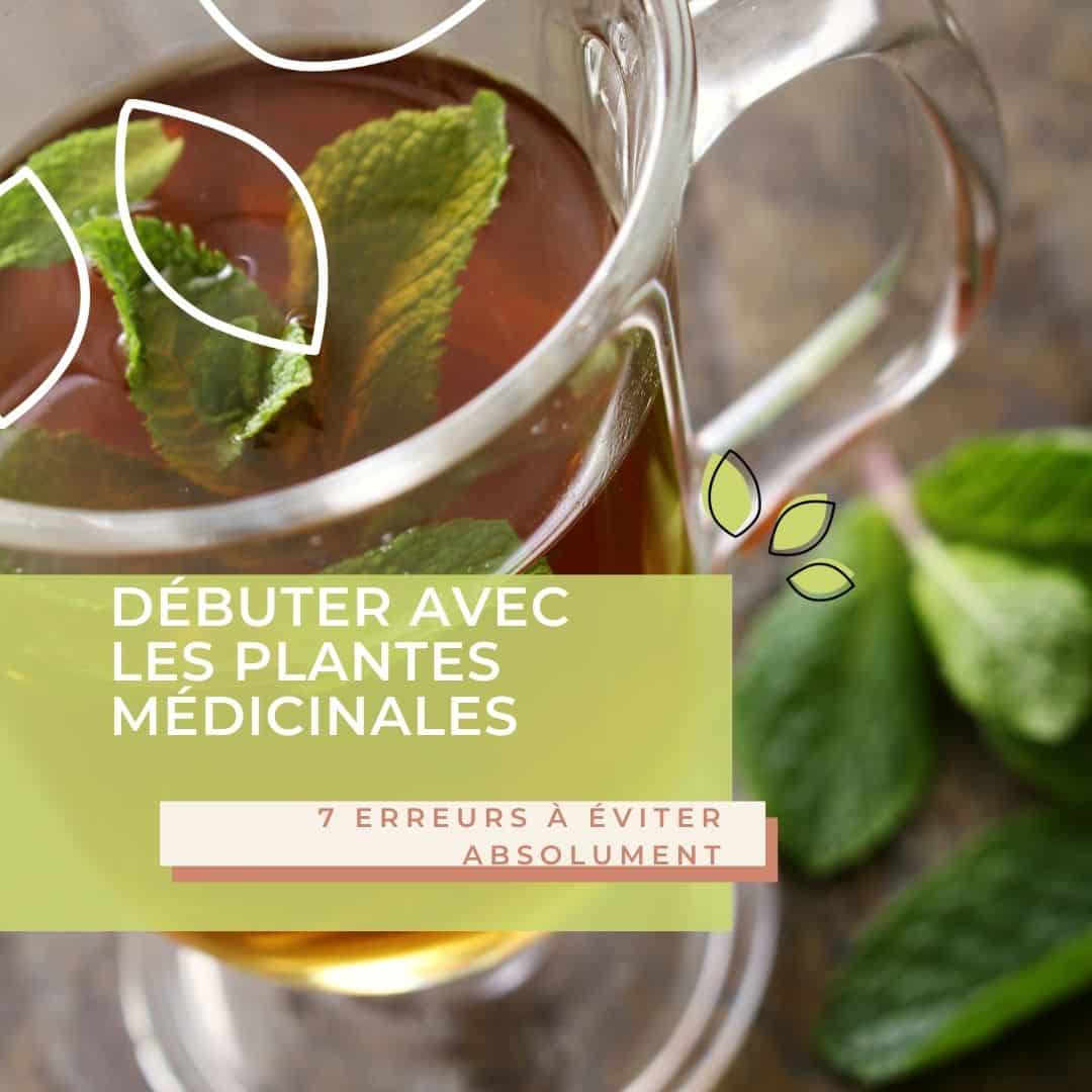 Se soigner avec les plantes médicinales : 7 erreurs à éviter absolument
