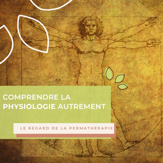 Comprendre la physiologie autrement : une lecture inédite avec la permathérapie