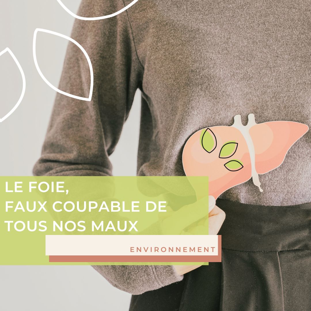 Le foie : faux coupable de tous nos maux