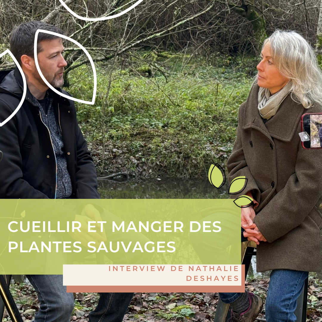 Cueillir et manger des plantes sauvages : les règles simples pour débuter – Interview de Nathalie DESHAYES