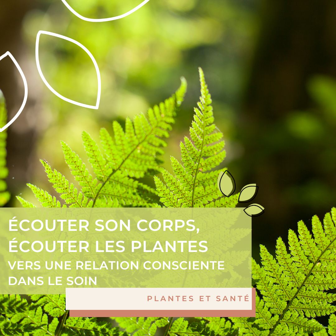 Écouter son corps, écouter les plantes : vers une relation consciente dans le soin