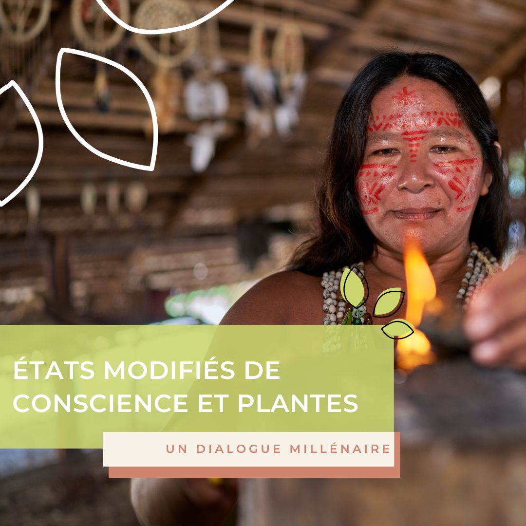 États modifiés de conscience et plantes : un dialogue millénaire