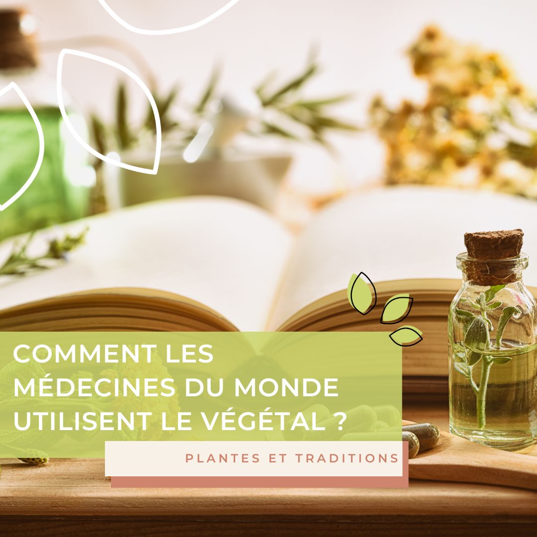 Plantes et traditions : comment les médecines du monde utilisent le végétal